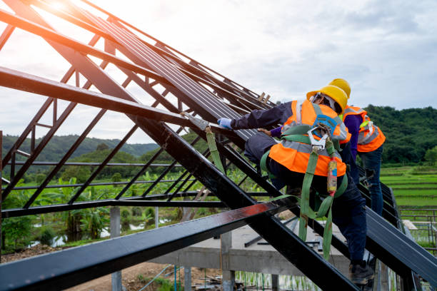 Best Local Roofing Companies  in Lanse, MI