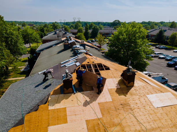 Best Residential Roofing Contractor  in Lanse, MI