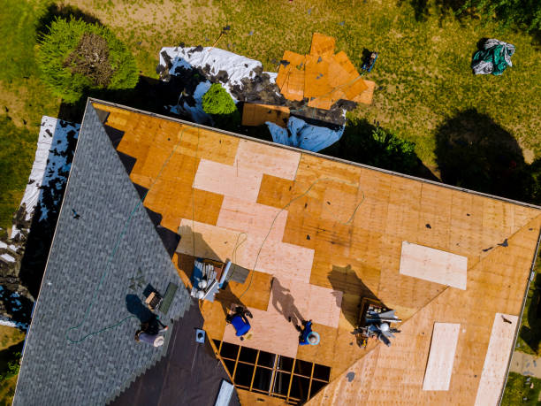 Best Roof Restoration Services  in Lanse, MI