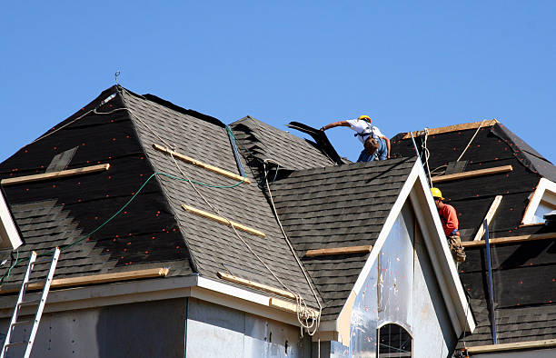 Best Shingle Roofing Installation  in Lanse, MI