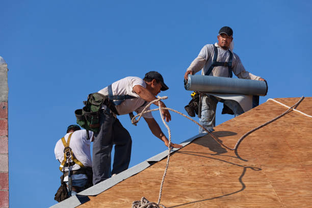 Best Roof Repair Services  in Lanse, MI