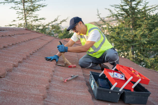 Best Flat Roof Repair Services  in Lanse, MI