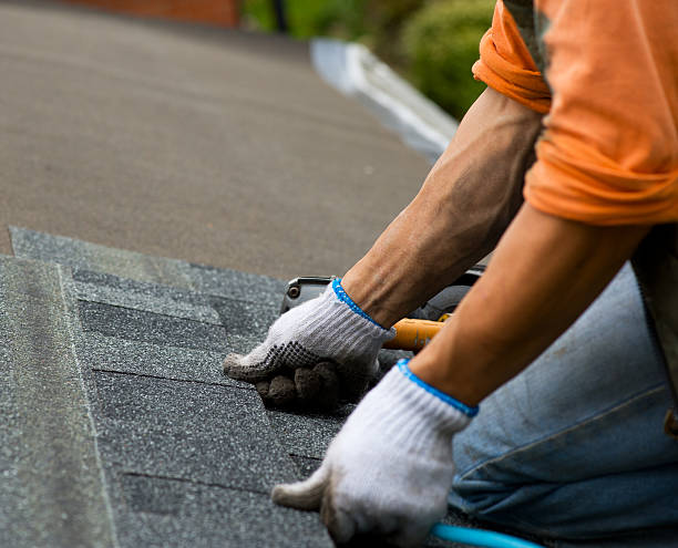 Best Roof Maintenance Services  in Lanse, MI
