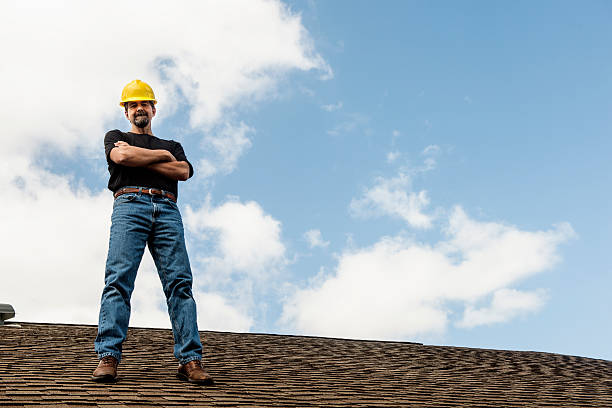 Best Roof Gutter Cleaning  in Lanse, MI