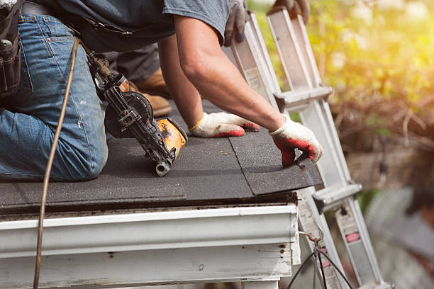 Best Roof Gutter Cleaning  in Lanse, MI
