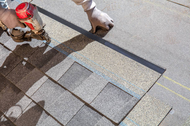 Best Roof Replacement Cost  in Lanse, MI