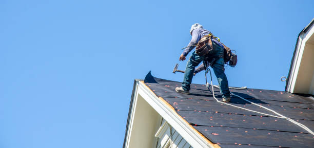 Roof Gutter Cleaning in Lanse, MI